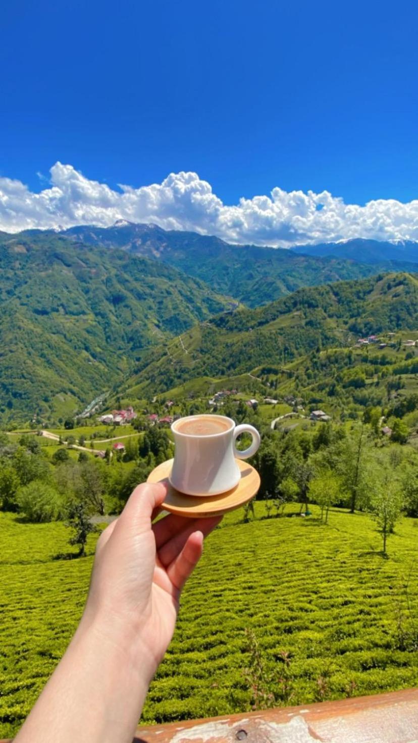 Pera Bungalov Ardeşen Exteriér fotografie