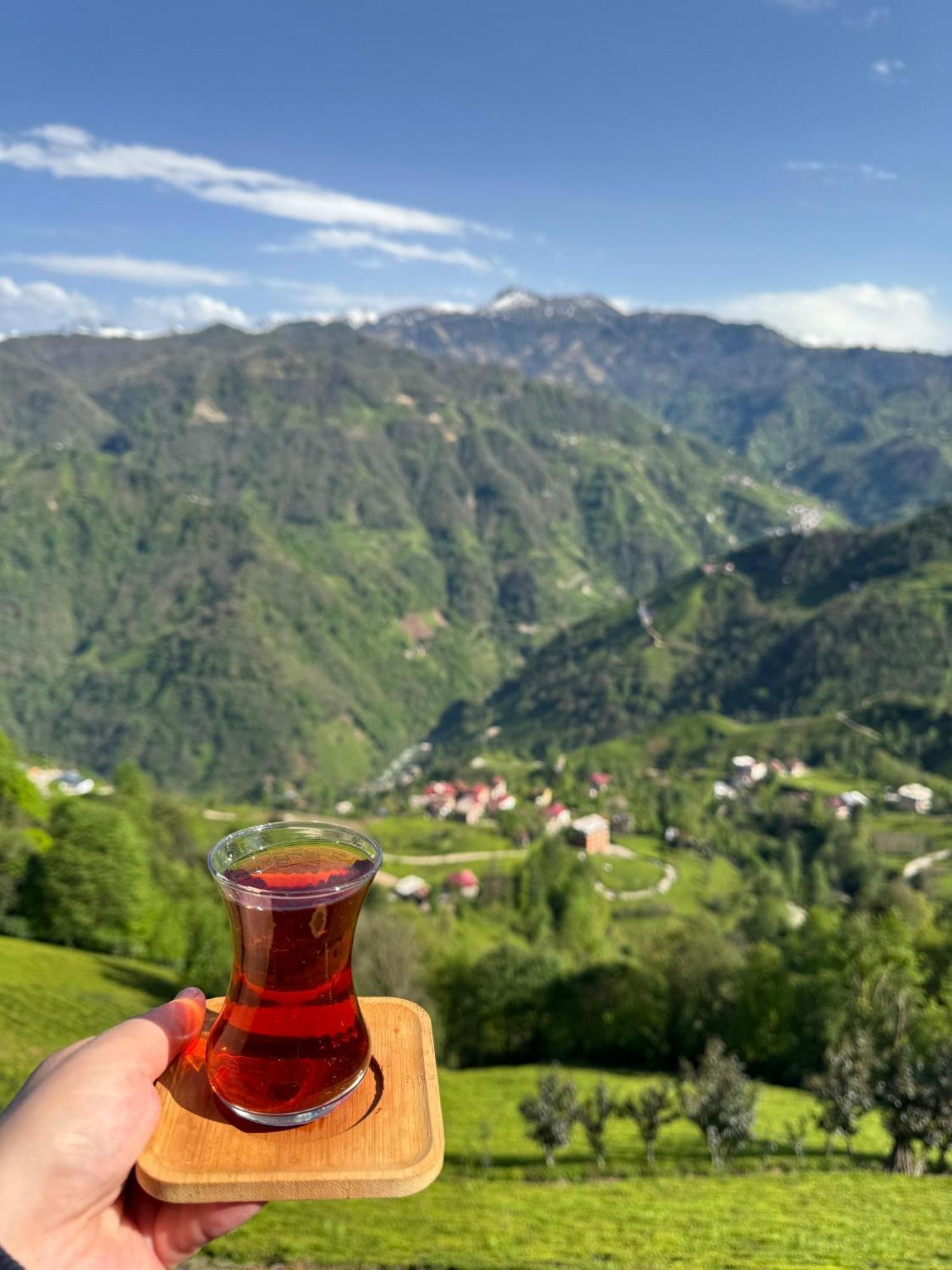 Pera Bungalov Ardeşen Exteriér fotografie