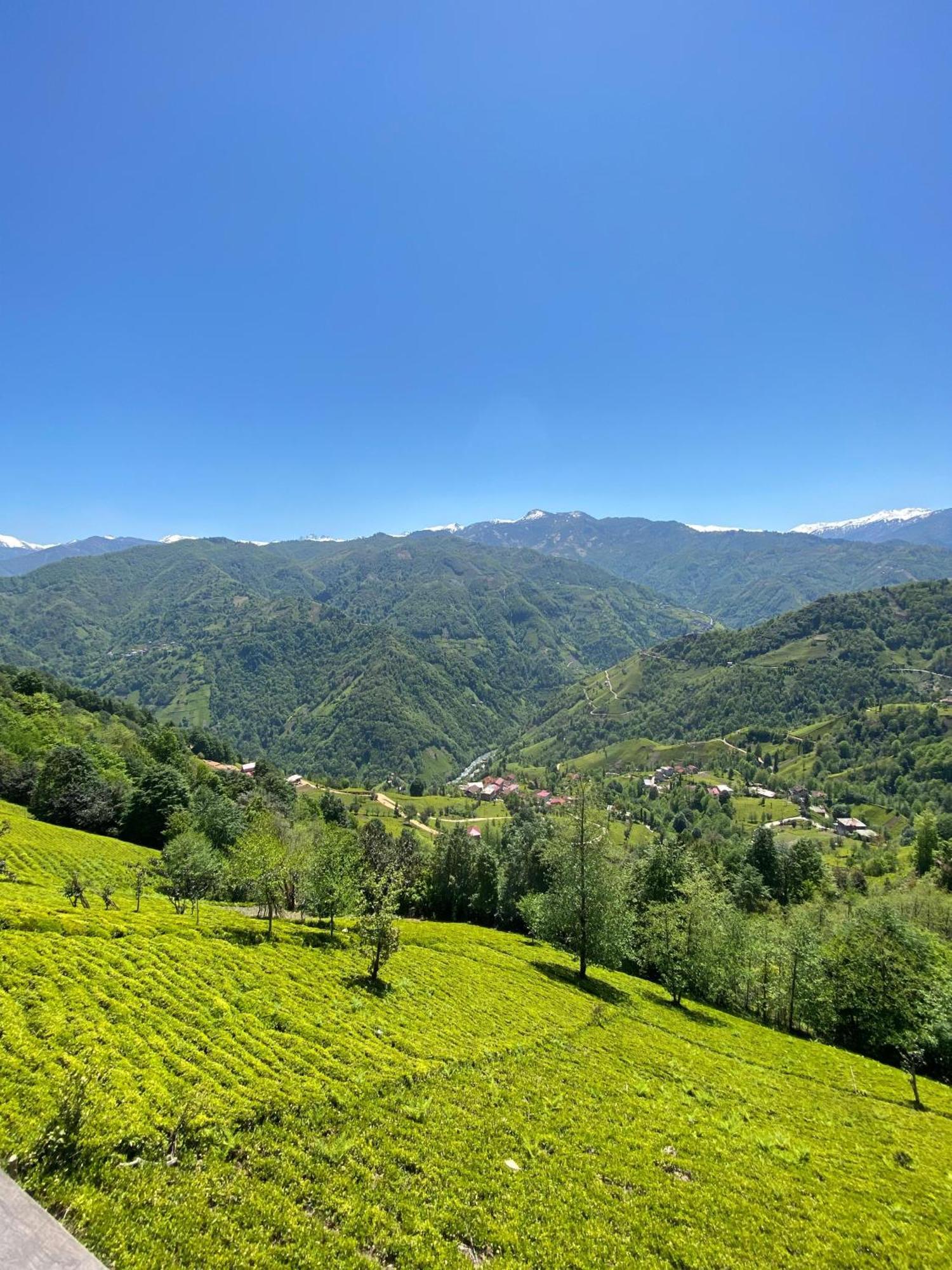 Pera Bungalov Ardeşen Exteriér fotografie